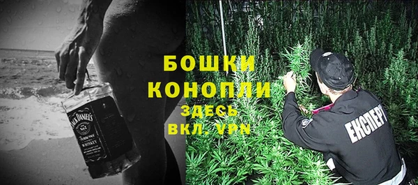 ешки Горняк