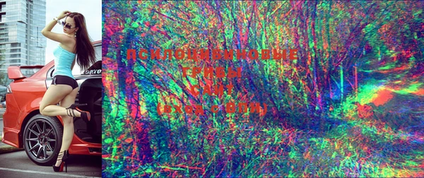 ешки Горняк