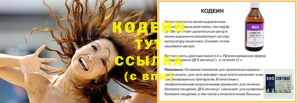 ешки Горняк