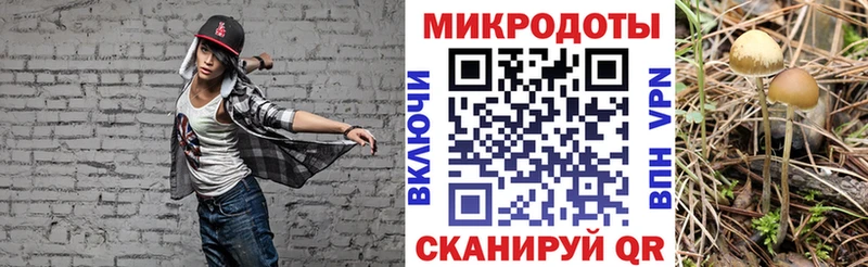 Галлюциногенные грибы мухоморы  Москва 