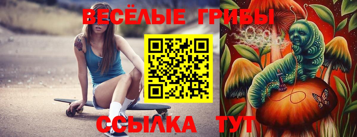Москва  Псилоцибиновые грибы ЛСД  Псилоцибиновые грибы MAGIC MUSHROOMS  цены   Вход с VPN 